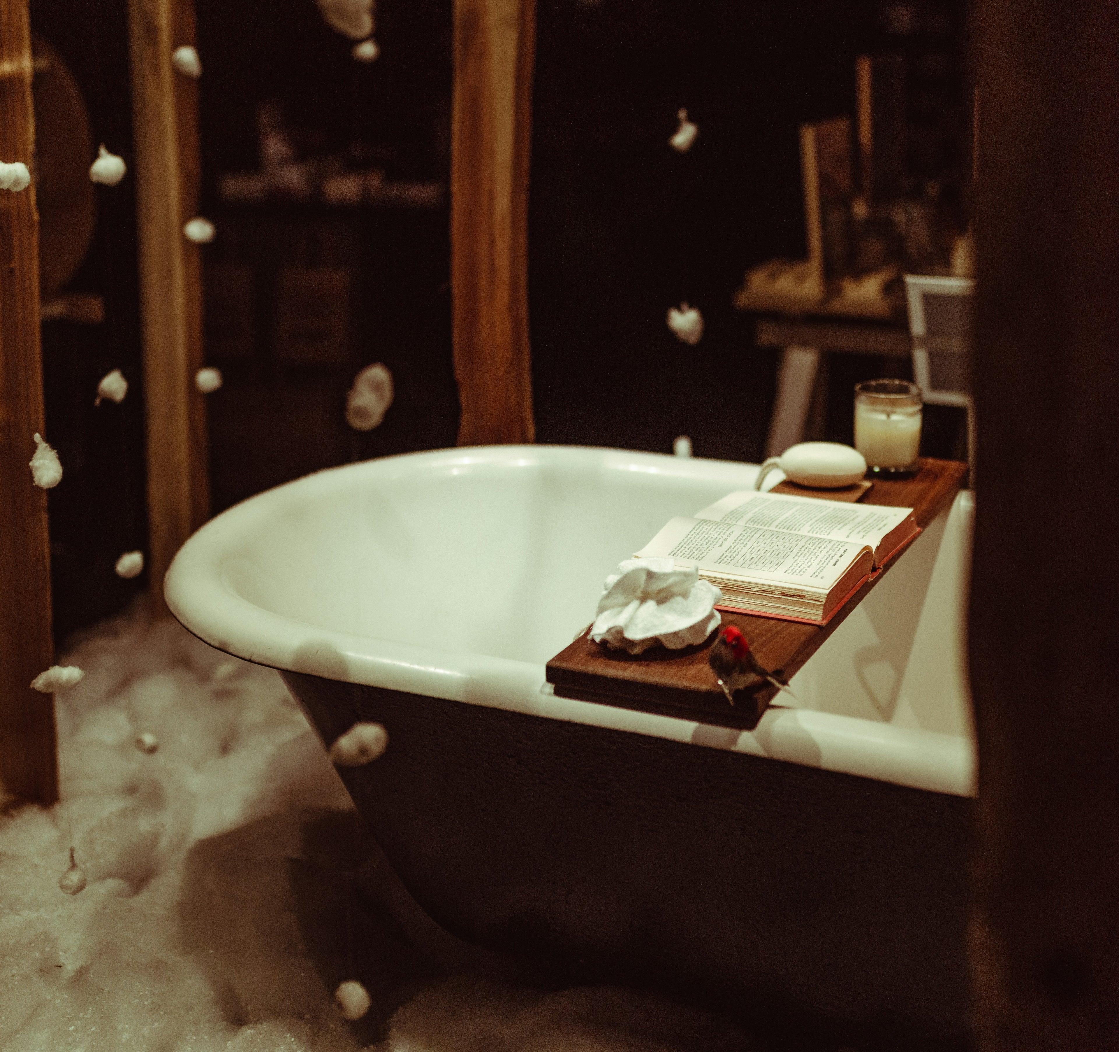 The Evening Ritual